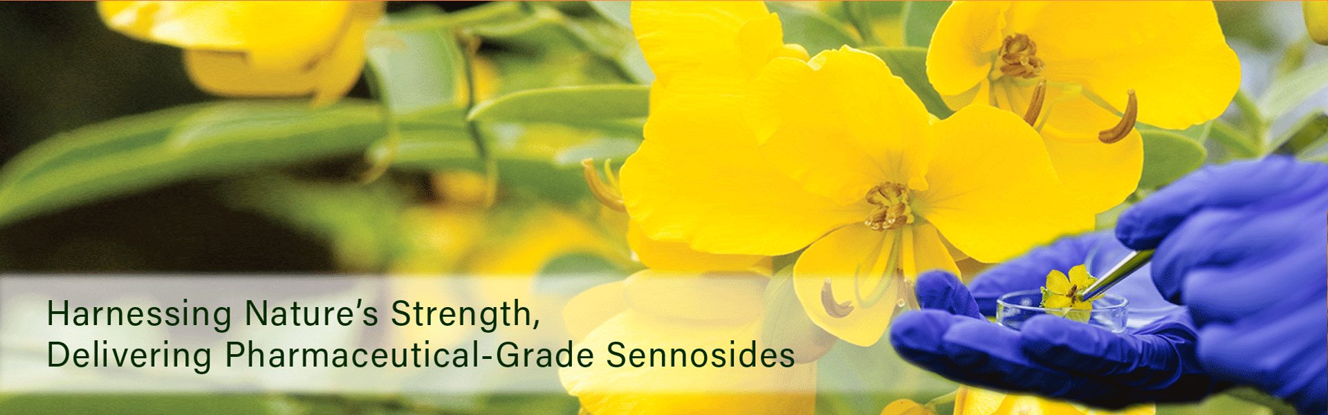 Harnessing Nature's Strength