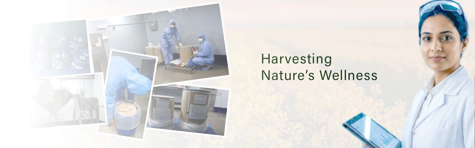 Harvesting Nature's Wellness