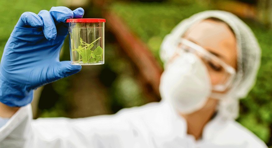 Quality Control Scientist